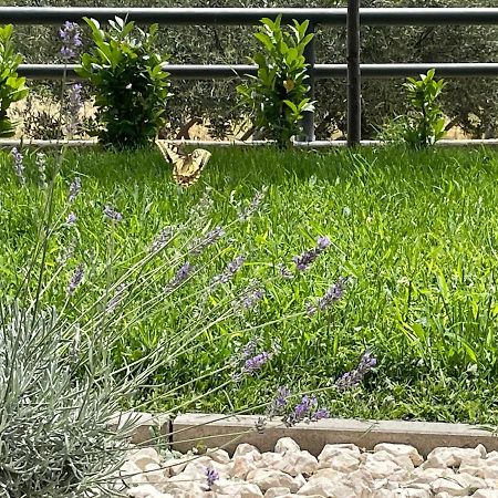 Apartman David 73 Split Exterior foto
